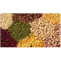 DALS AND PULSES