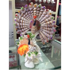 Double Peacock Shell