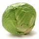 Green-cabbage