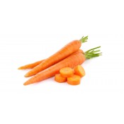 Carrot (0)